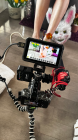  Photographe / Vidéaste – Spécialisé Escort & Adulte 