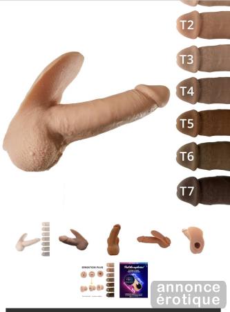 PartyTrans Ftm Gros Clito Mtl Nord