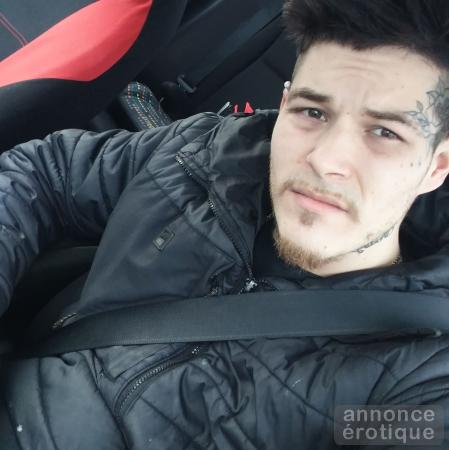 Gogoboy a votre service