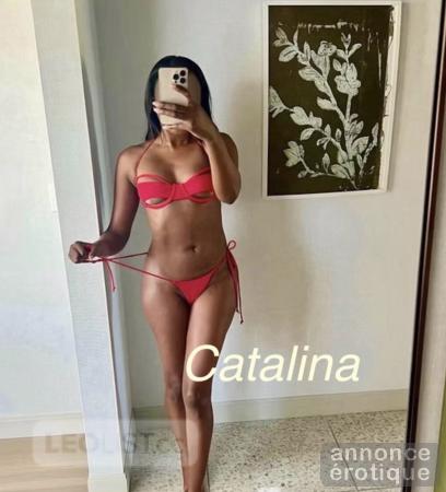 Catalina 5StarSpinner /Duo/Trio 450-914-2631