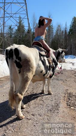 Belle Transexuelle Reçoit Autoroute 40 et 1 e Avenue Quebec