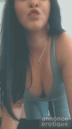 Chienne cherche maître