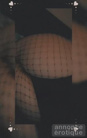 Chienne cherche maître