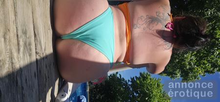 Chienne cherche maître