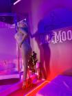 ***PROMO lundi et mardi  5PM à 8PM    chambre à moitié prix! ***