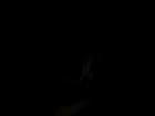 Cherche femme ou couple pour plaisir gratuit de préférence