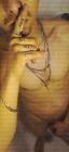 Maitr dans le plaisir oral  HommeFemme